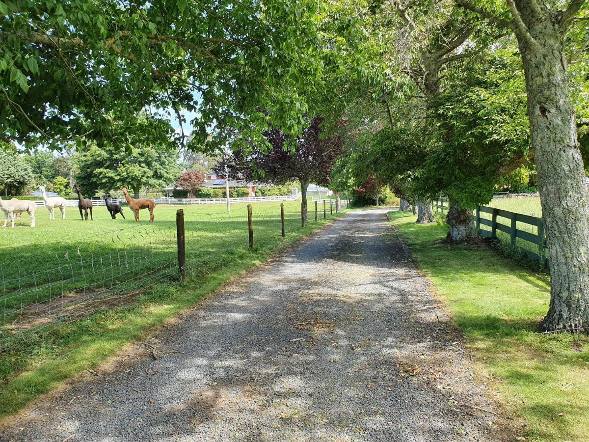 Country Cottage Rotorua Exterior photo